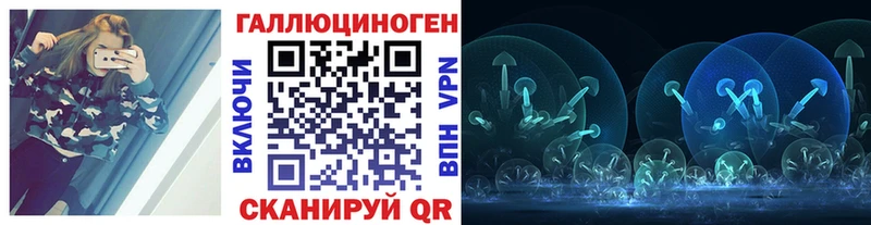Купить закладки  Курганинск  Псилоцибиновые грибы MAGIC MUSHROOMS 